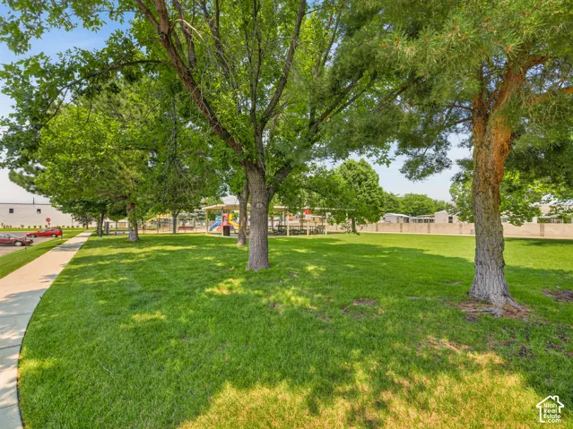 Expansive green space with mature trees and a paved sidewalk