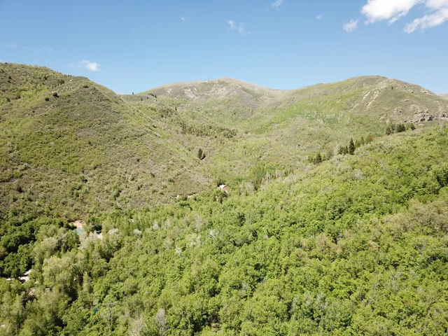 22465 N Elk Meadow Dr, Fairview, Utah 84629