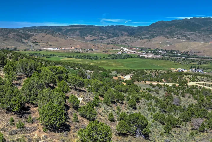 Expansive natural landscape featuring rolling hills and abundant evergreen trees