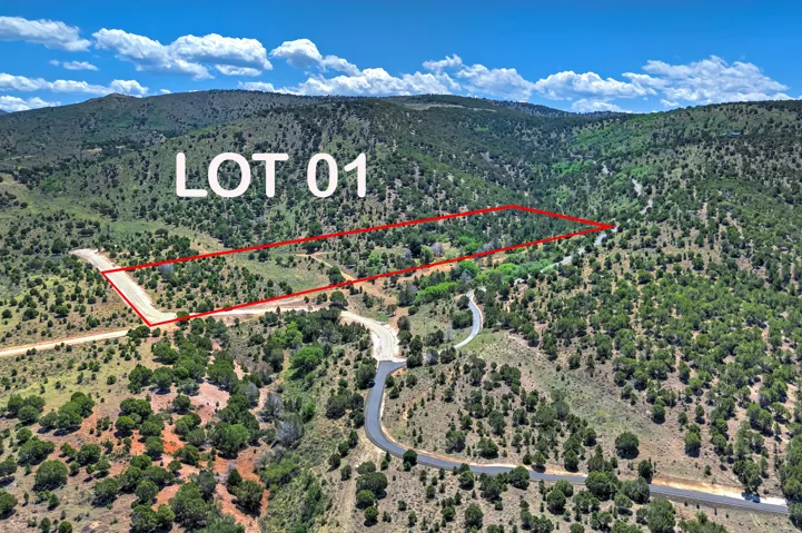 Expansive undeveloped land parcel identified as Lot 01, featuring a clearly delineated boundary line