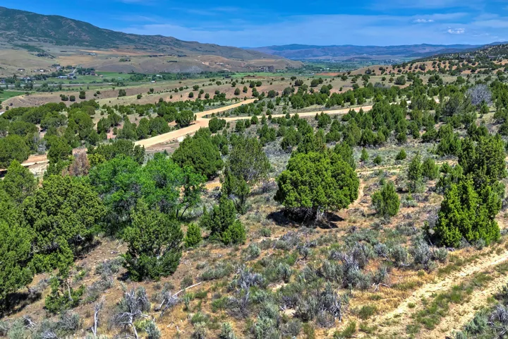 Expansive undeveloped land featuring natural foliage and a dirt road traversing the terrain
