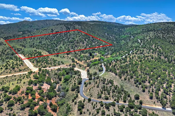 Expansive land parcel featuring natural tree coverage and unpaved access roads