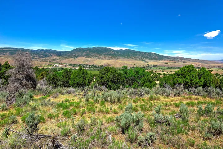 Expansive undeveloped terrain featuring diverse shrubbery and distant mountains under a clear sky