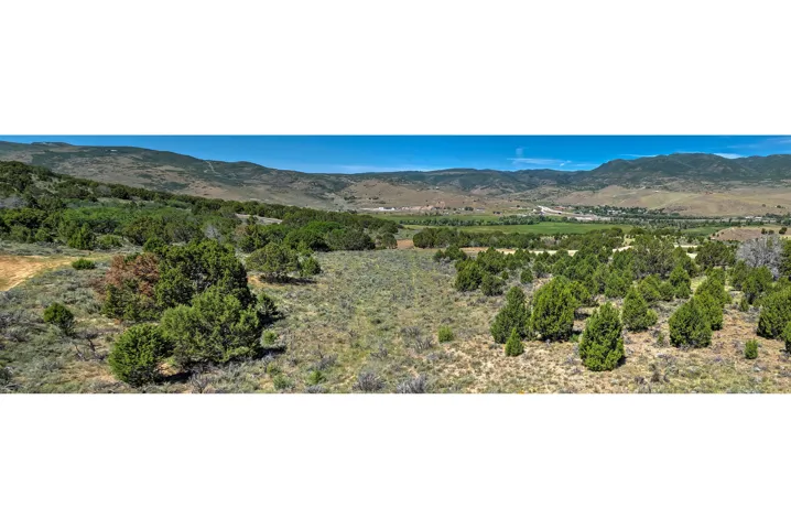 Expansive rural landscape featuring scattered evergreen trees and natural vegetation