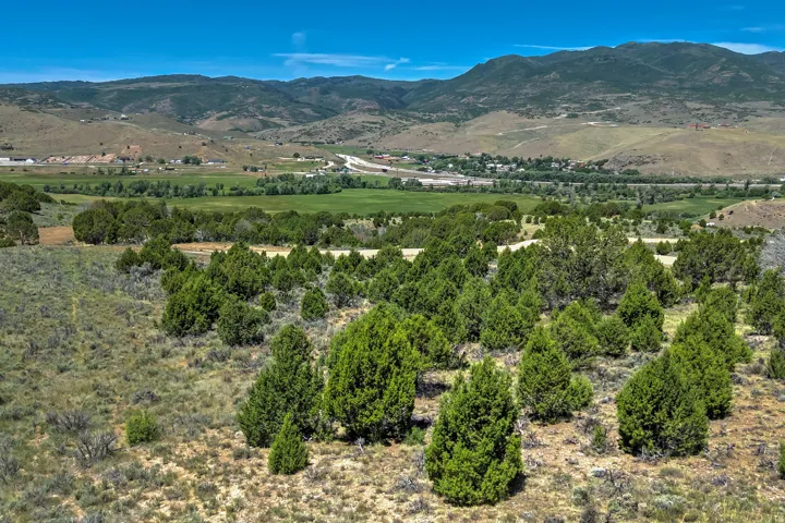 Expansive property featuring abundant evergreen trees, natural brush, and a distant mountain range
