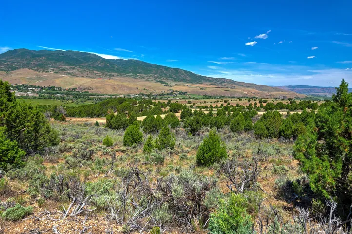 Expansive land parcel featuring native vegetation, distant mountain ranges, and open skies