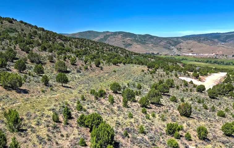 Expansive undeveloped land featuring natural foliage and distant mountainous terrain