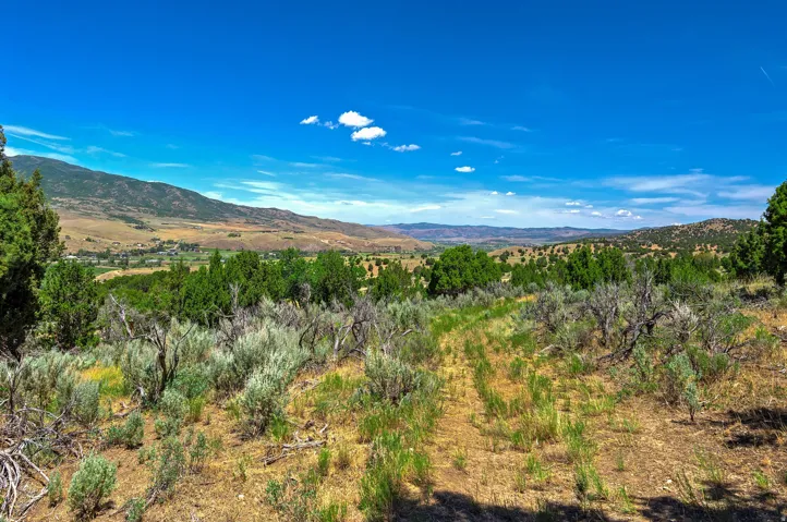 Expansive land featuring a valley floor, distant mountains, and varied natural vegetation