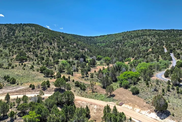 Expansive terrain featuring varied tree coverage and a winding paved road