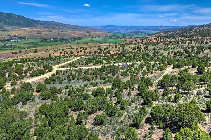 Expansive natural landscape featuring rolling hills and abundant green foliage