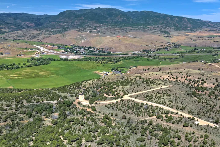 Expansive land parcel featuring existing dirt roads and scattered natural vegetation