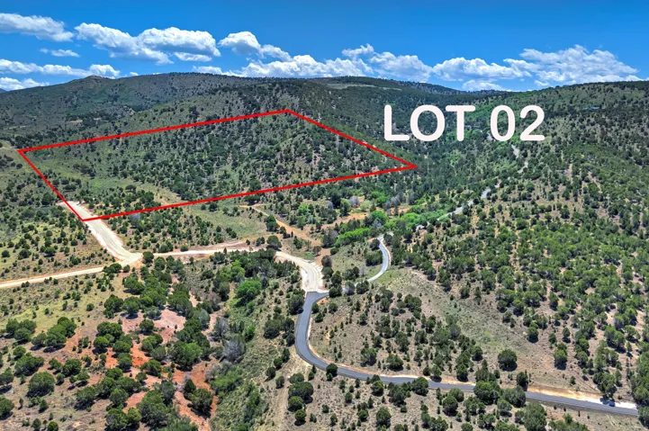 Expansive undeveloped lot featuring varied topography and natural vegetation
