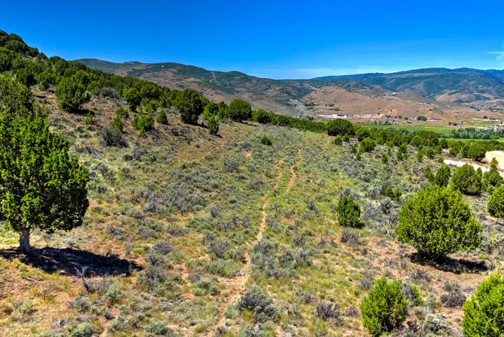 Expansive sloped terrain featuring natural ground cover, scattered evergreen trees, and a clear blue sky