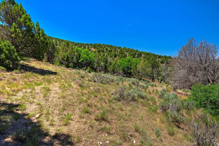 Natural terrain featuring varied vegetation, including mature trees and shrubs