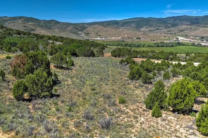 Expansive hillside terrain featuring natural shrubbery and scattered evergreen trees