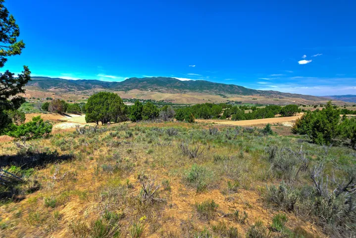Expansive undeveloped land featuring natural vegetation, scattered evergreen trees, and a distant mountainous backdrop