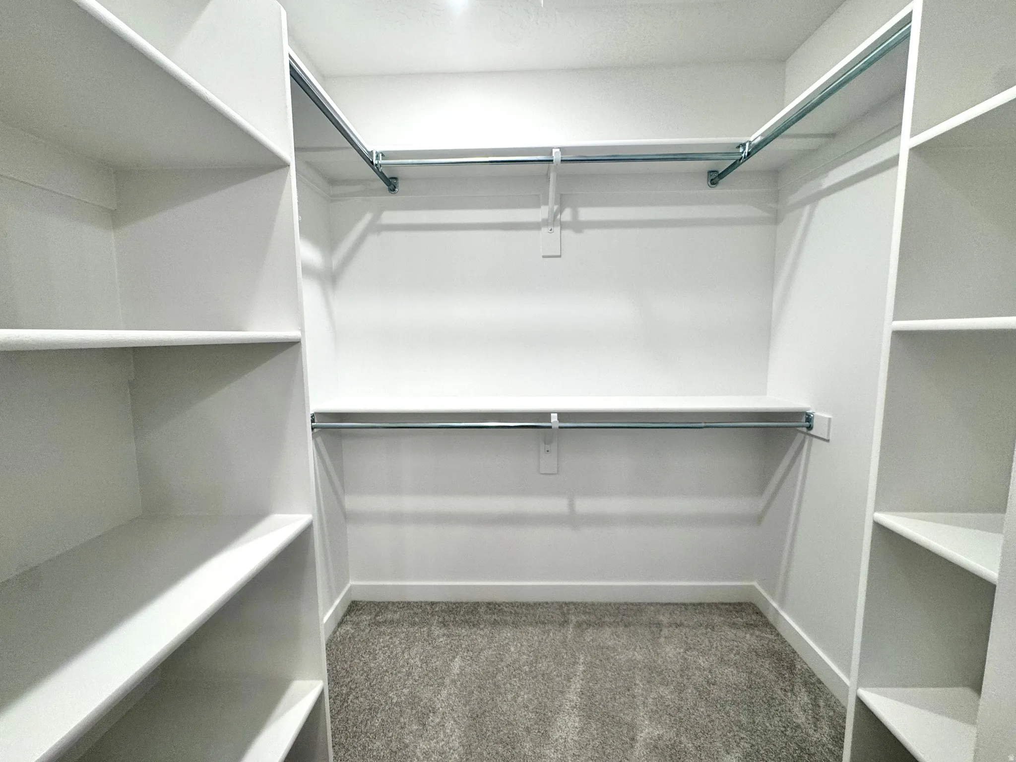 Walk-in closet featuring white built-in shelving, multiple chrome hanging rods, and gray carpet flooring