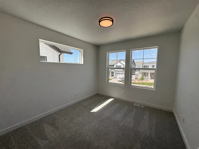 Carpeted room featuring multiple windows, a ceiling-mounted light fixture, and white baseboards