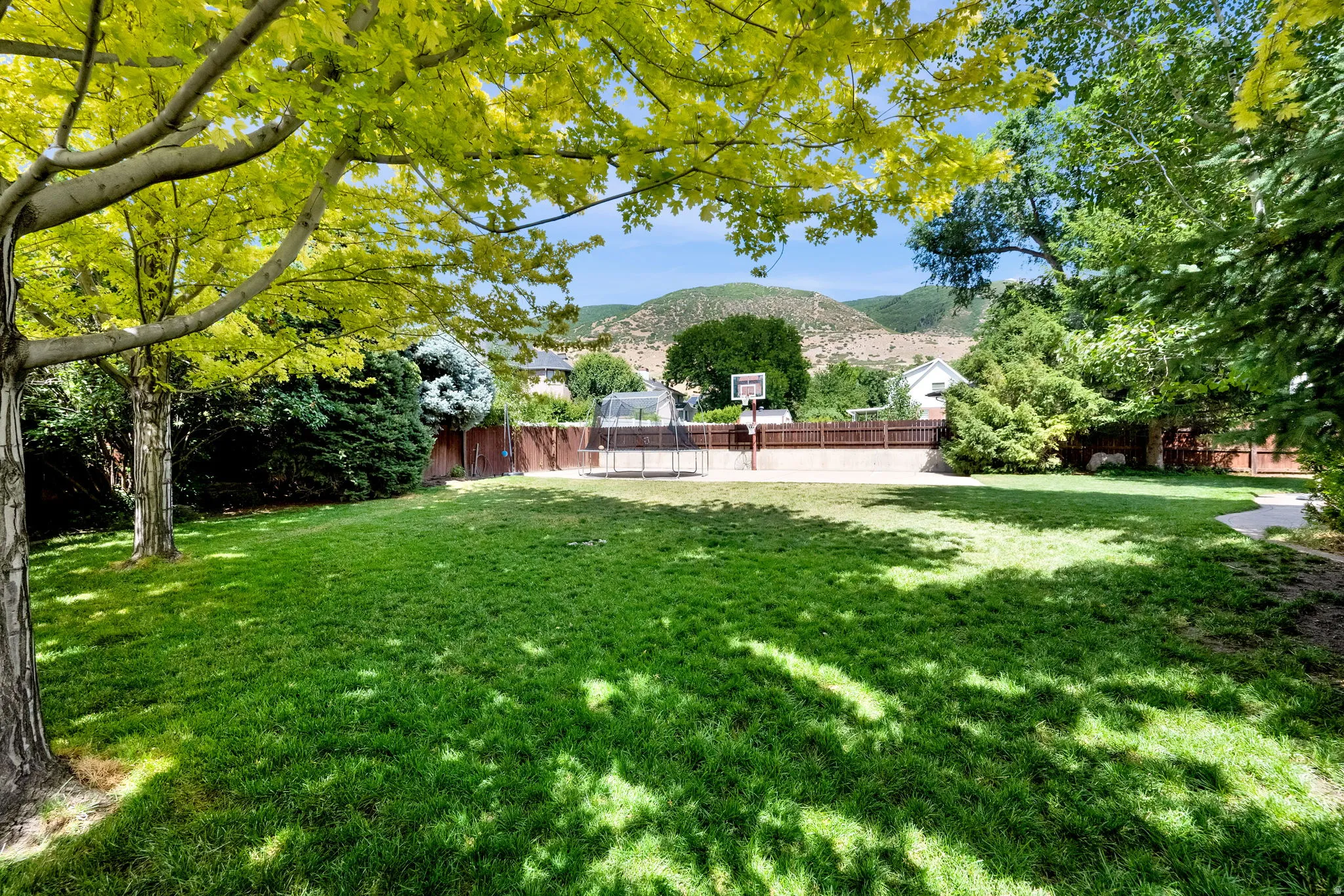 Expansive backyard with a lush green lawn, mature trees providing natural shade, and a paved court area