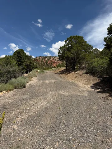 Gravel pathway ascending a natural slope, framed by mature evergreen trees and arid vegetation
