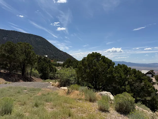 Expansive lot featuring natural landscaping, mature trees, and mountainous terrain