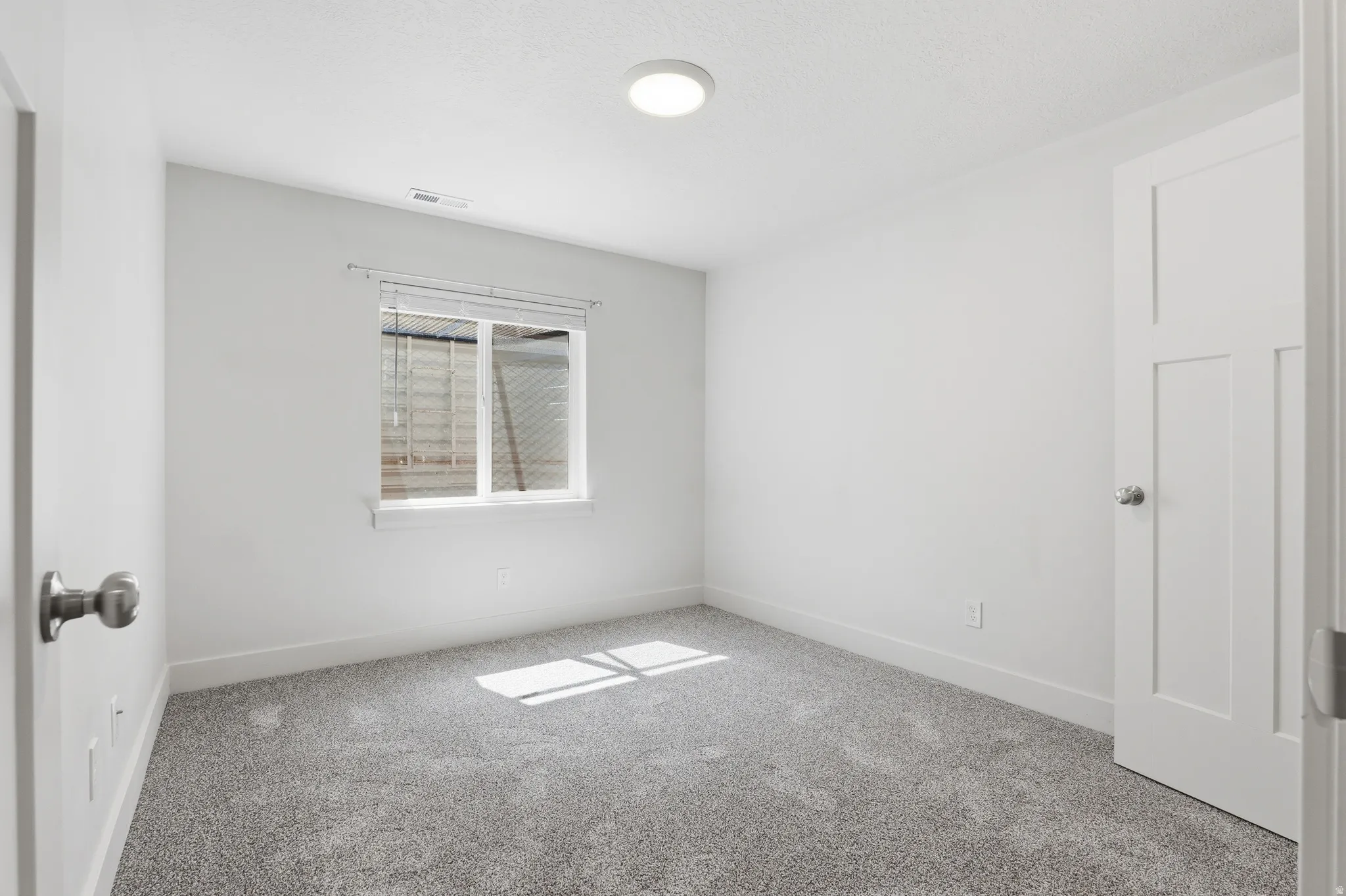 Light-filled room featuring neutral-toned carpet flooring and a contemporary overhead light fixture