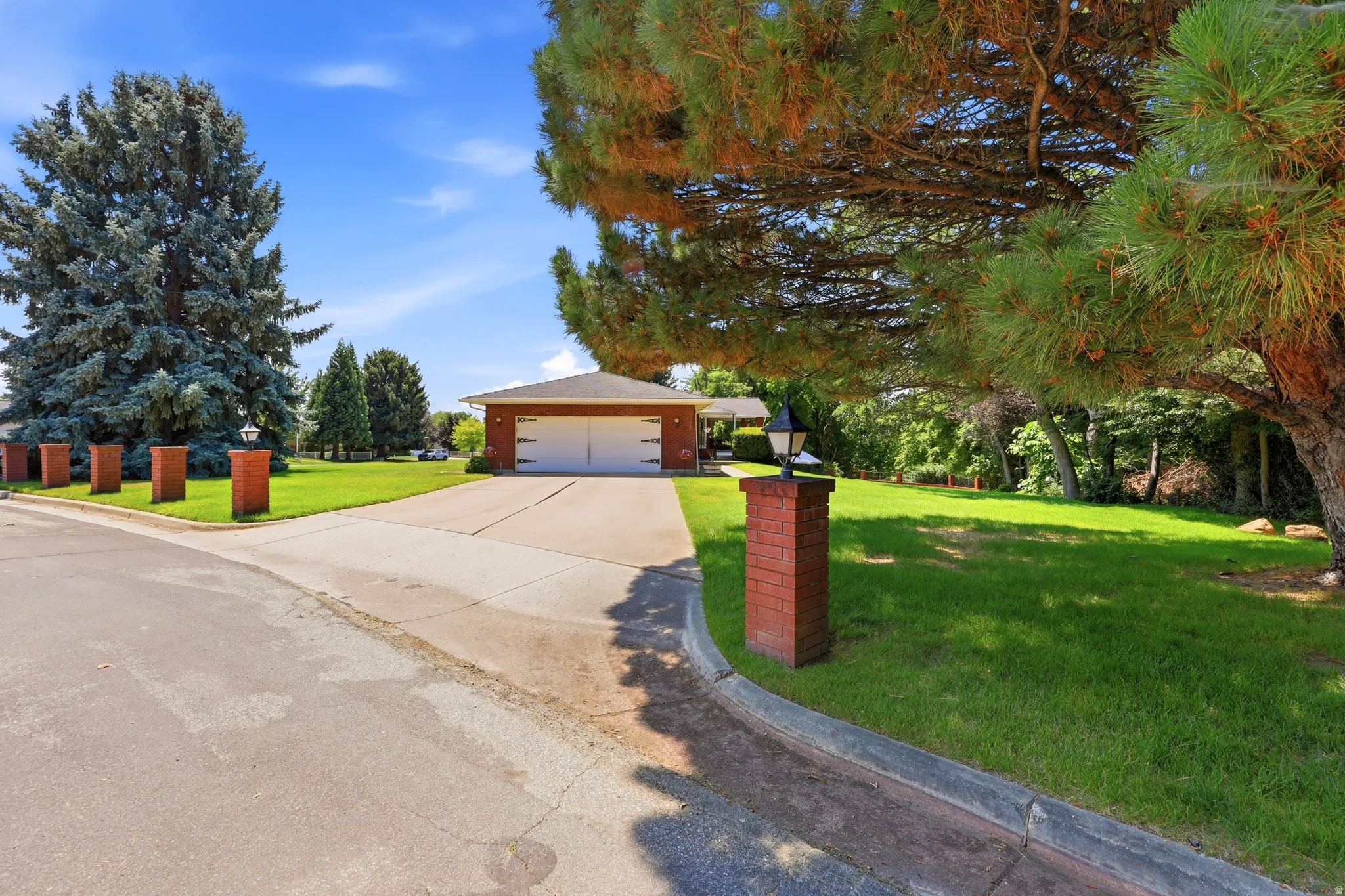 Expansive front yard featuring a concrete driveway, mature evergreen trees, and brick pillar landscaping with integrated lighting
