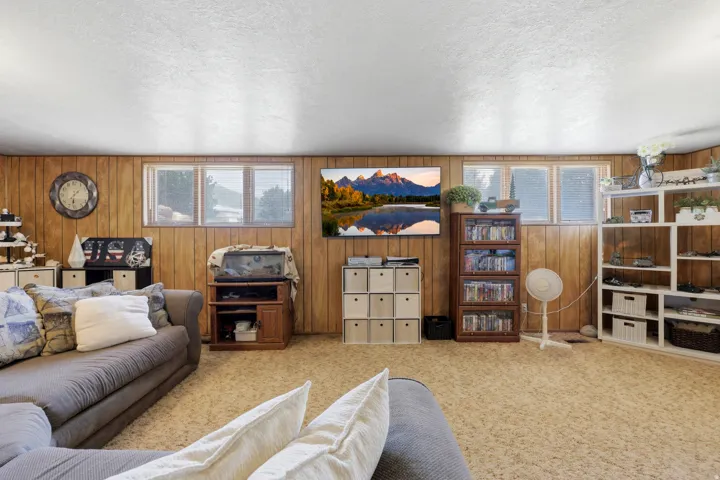Recreation room featuring wood-paneled walls, multiple windows, and textured carpeting