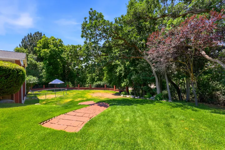 Expansive green lawn with mature trees and a paver pathway