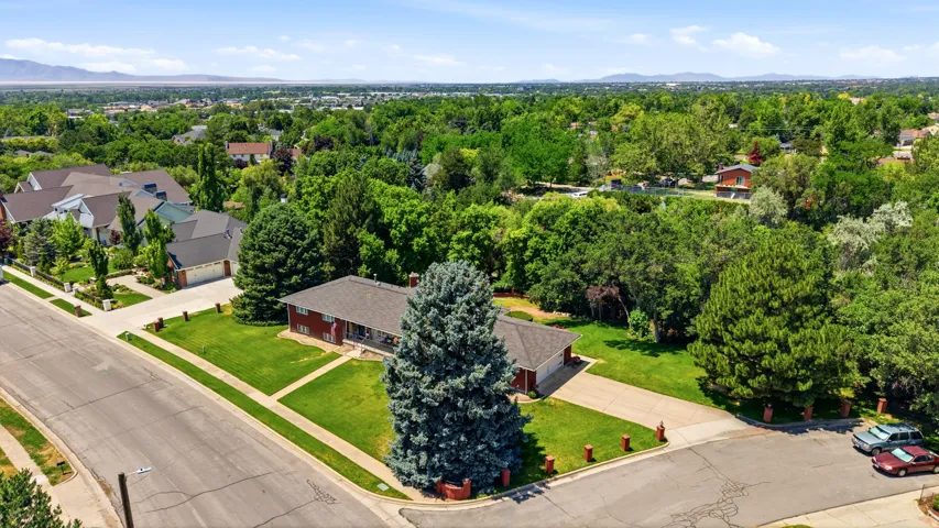 Expansive property featuring a red brick facade, a lush green lawn, a large mature evergreen tree, and a concrete driveway