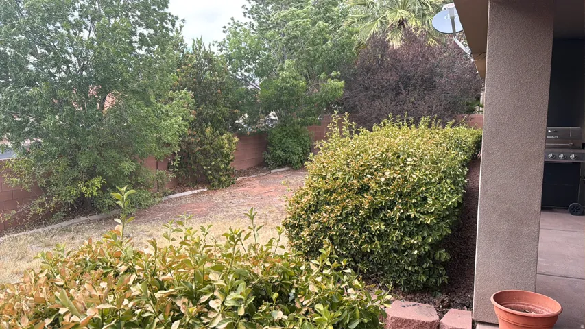 Expansive backyard with a sloped landscape, mature trees, and established shrubbery