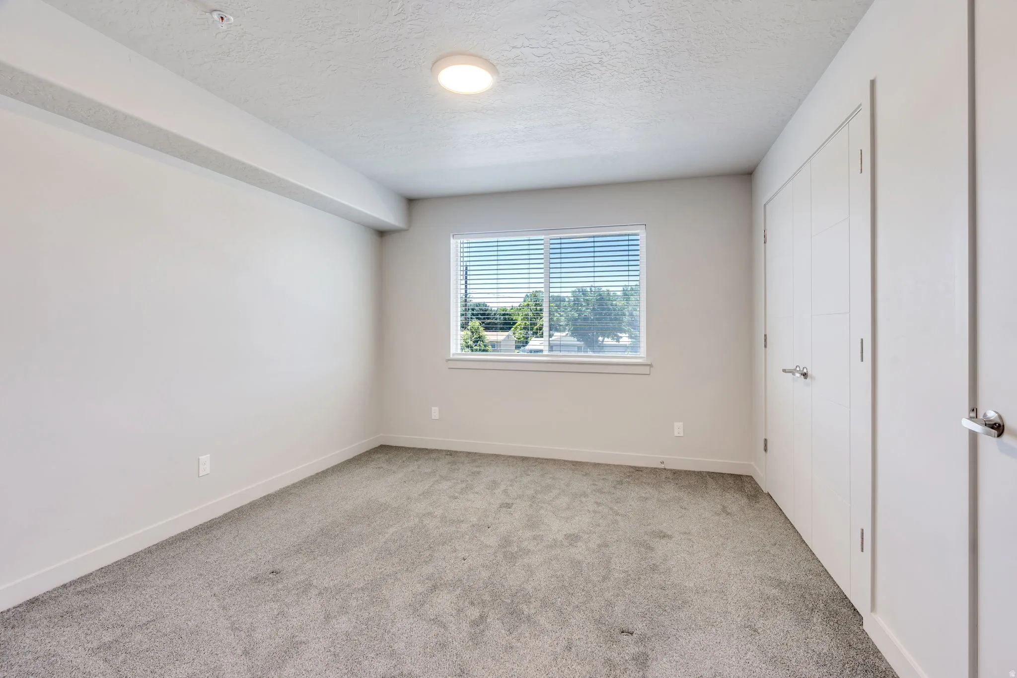 Spacious room with plush gray carpeting, neutral wall finishes, and a flush-mount ceiling light