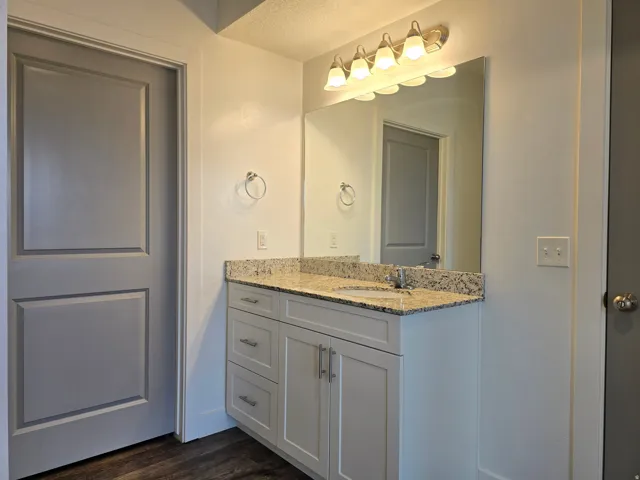 Bathroom vanity featuring a light granite countertop, undermount sink, and brushed nickel hardware