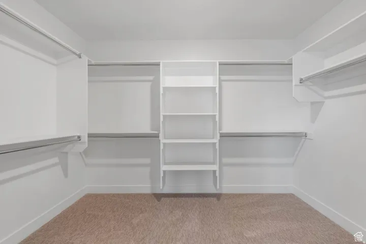 Spacious walk-in closet featuring built-in shelving, multiple hanging rods, white walls, white trim, and light brown carpeting