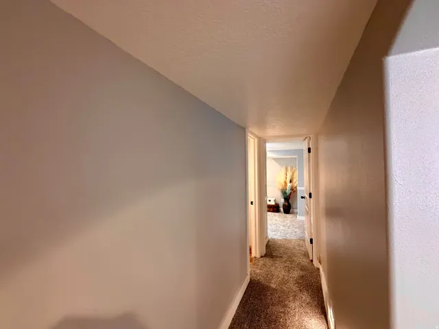 Hallway featuring light gray walls, white trim, and textured carpet flooring