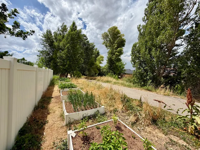 Private garden space featuring multiple raised garden beds, a tall privacy fence, and mature perimeter trees