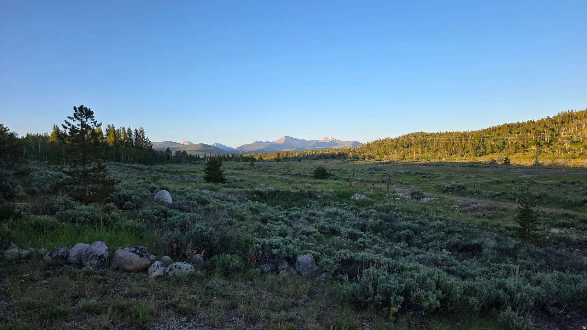 Expansive natural landscape featuring sagebrush and scattered evergreen trees