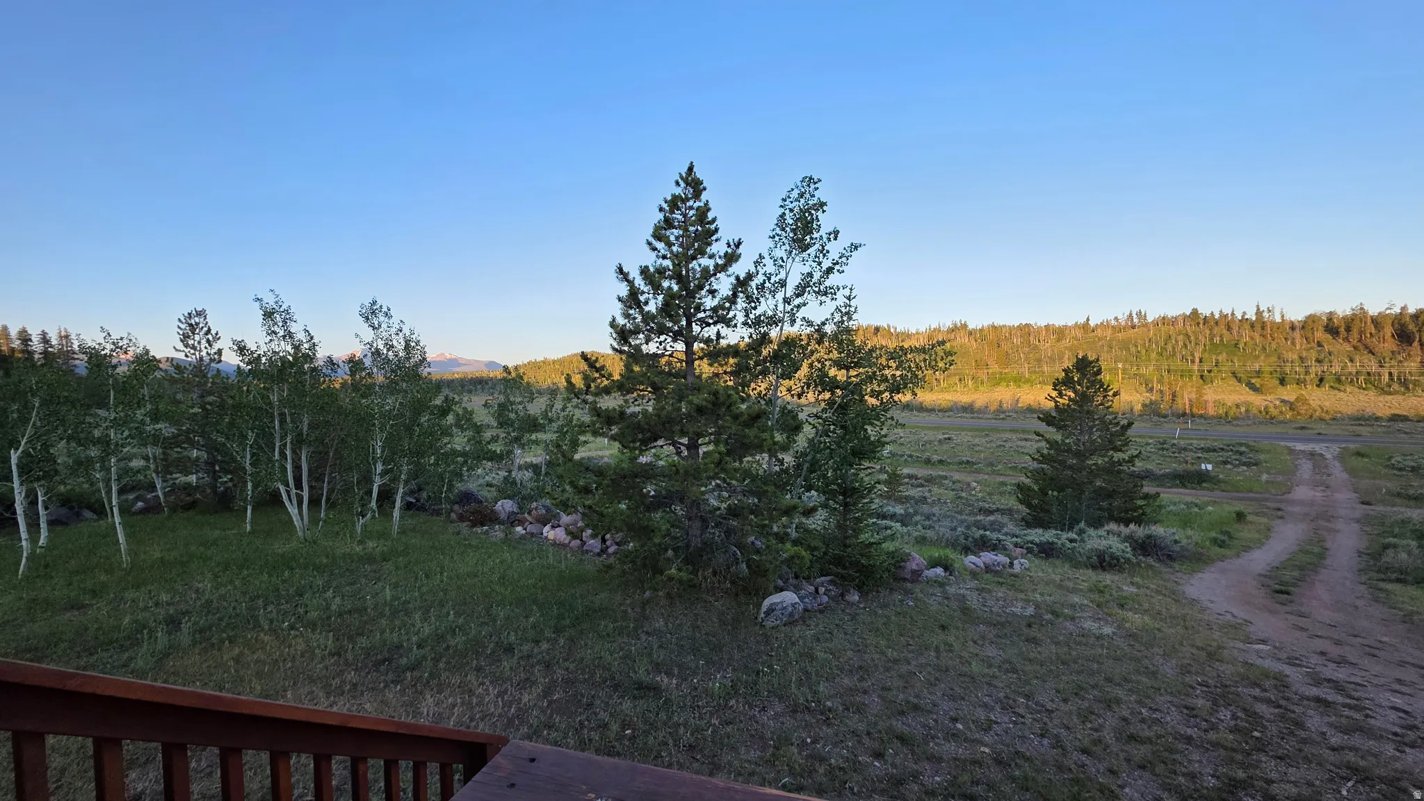 Expansive property featuring a rustic dirt path, mature pine trees, and a stand of aspen trees