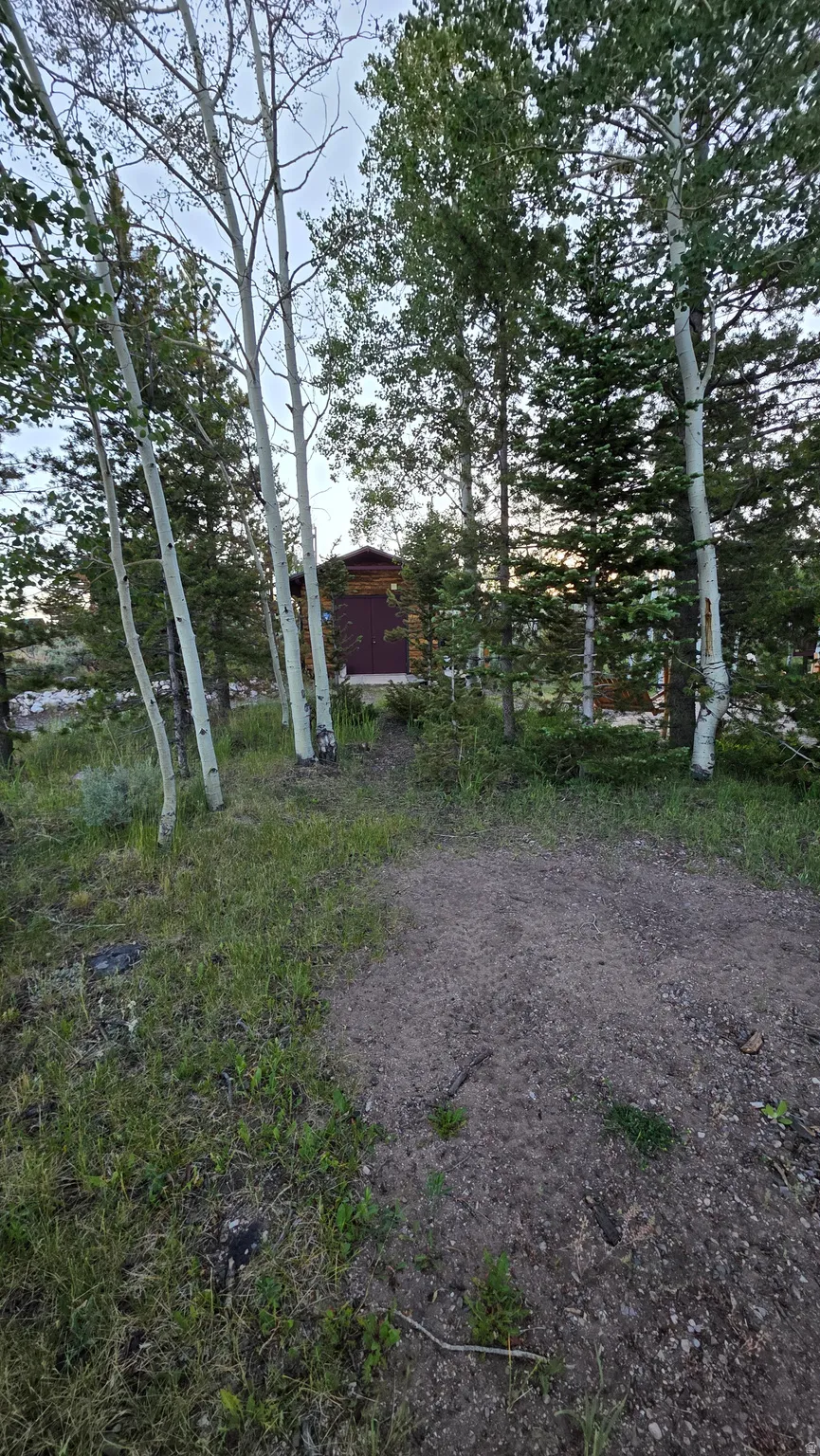 Wood-sided cabin nestled among mature trees