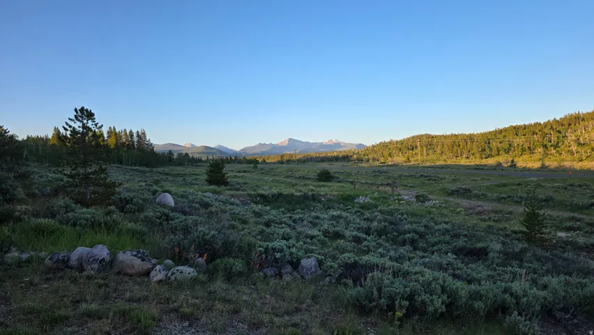 Expansive natural landscape featuring sagebrush and scattered evergreen trees