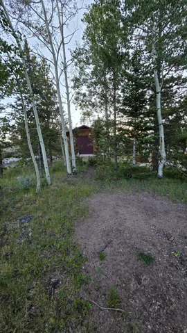 Wood-sided cabin nestled among mature trees