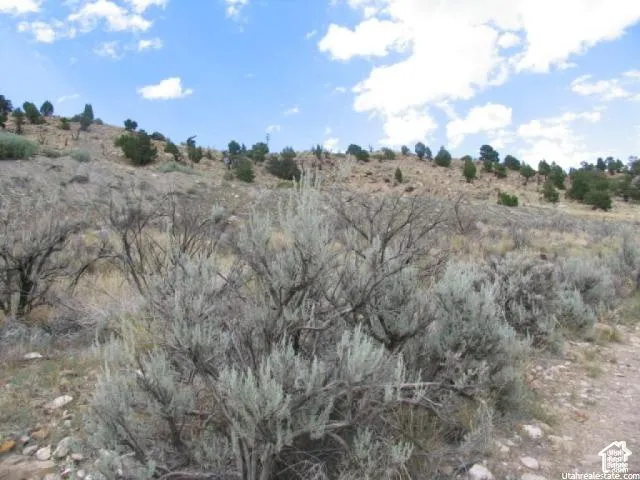 Natural hillside property featuring a mix of mature sagebrush, scattered evergreens, and rocky terrain