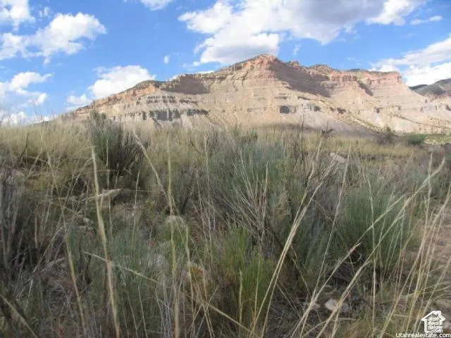 Natural landscape featuring an expansive, uncultivated terrain with varied scrub brush and grasses