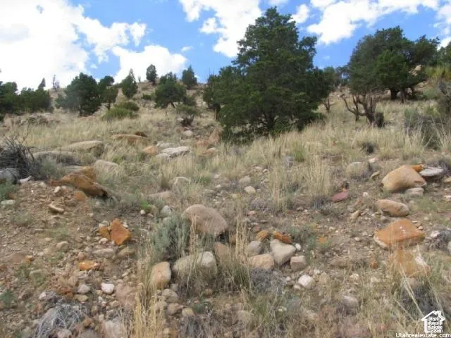 Sloping terrain featuring natural rock formations and varied vegetation, including mature evergreen trees and dry grasses