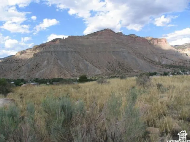 Expansive natural landscape featuring a large mountain backdrop and a foreground of dry grasses and brush