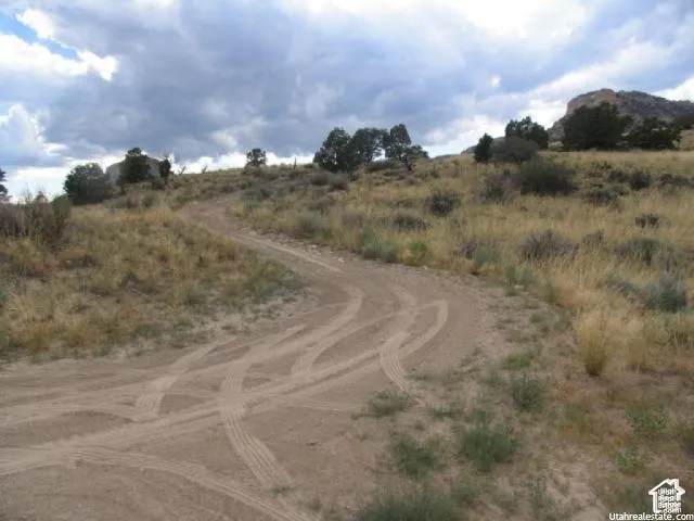 Expansive land parcel featuring an unpaved road, natural grass, and mature shrubs