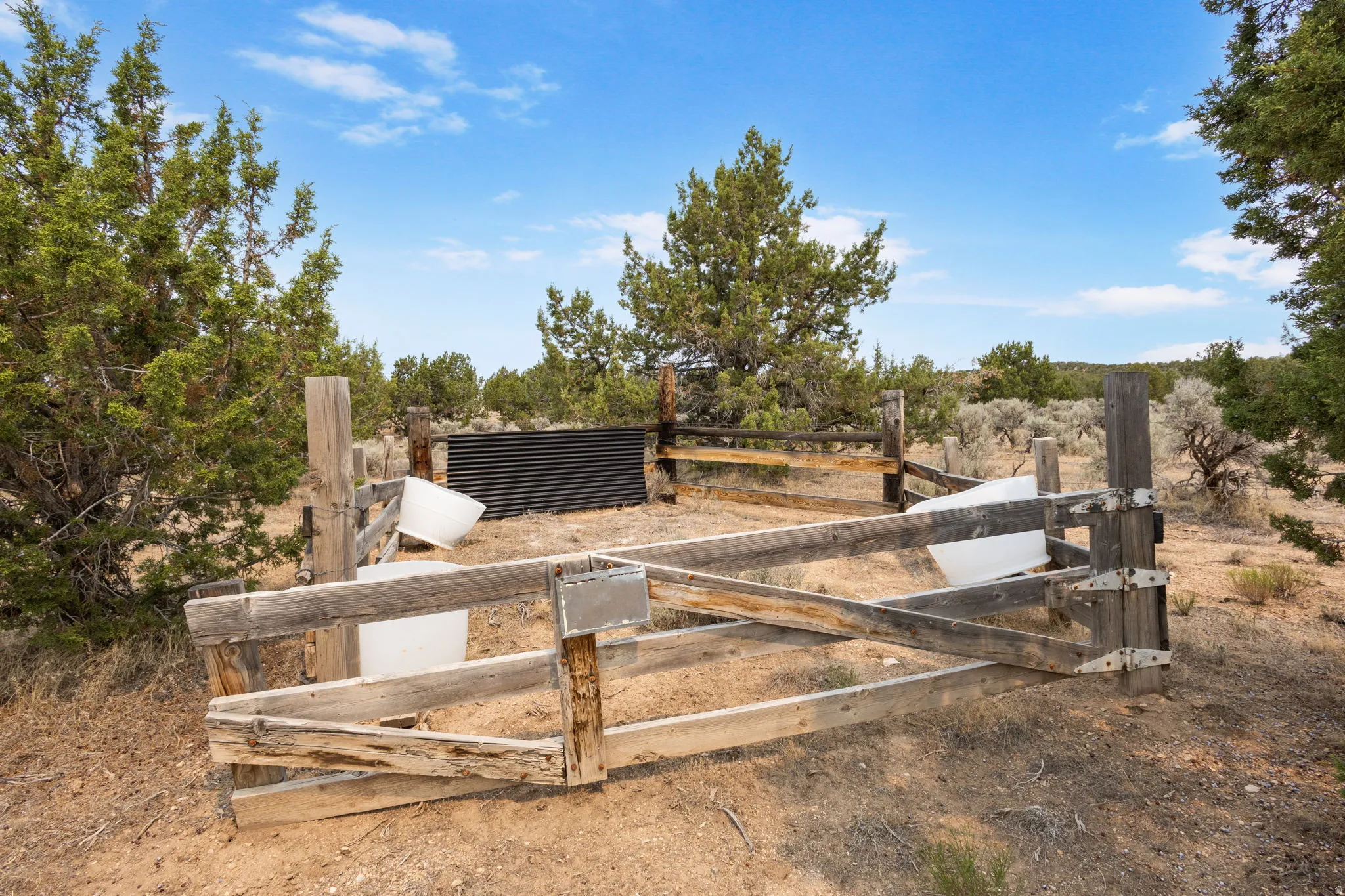 sheep pen