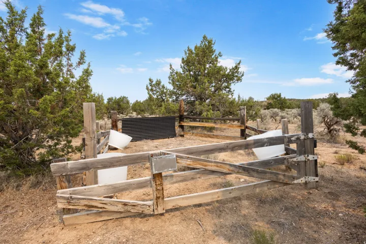 sheep pen