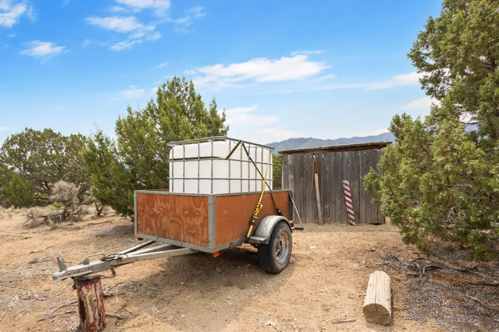 water buffalo/transport cart