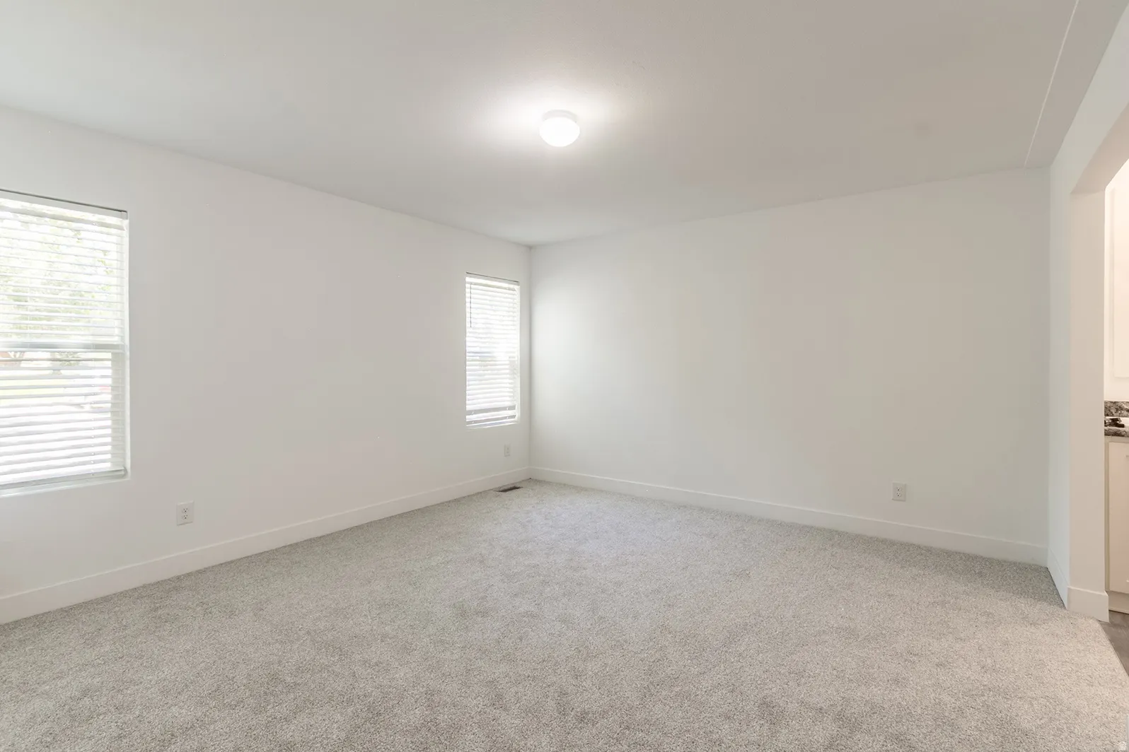 Carpeted room with white walls, two windows featuring horizontal blinds, and a flush-mount ceiling light fixture